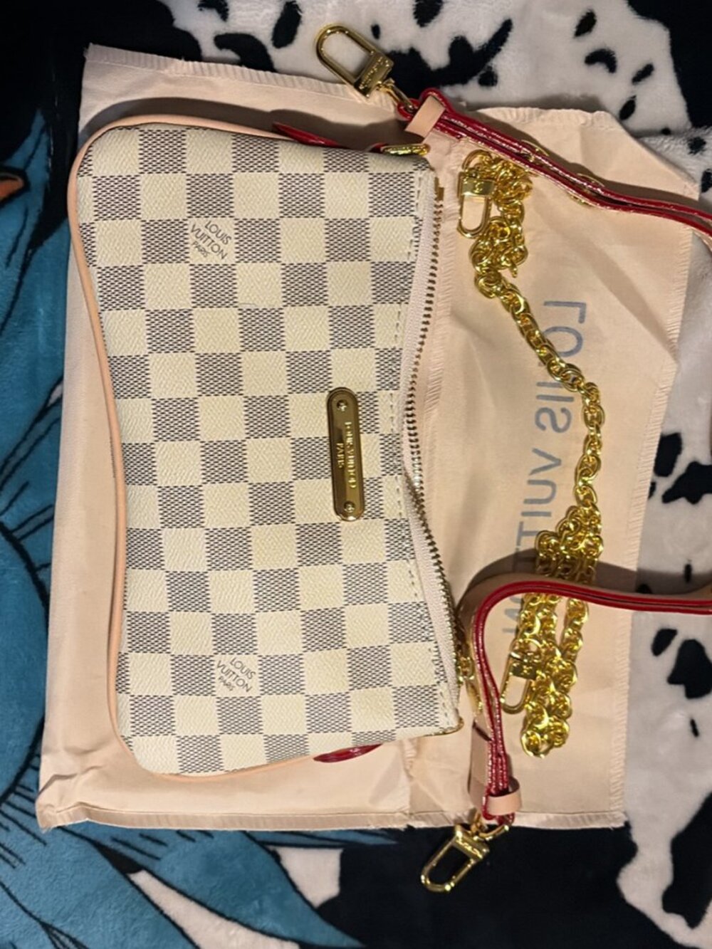 Louis Vuittion Bag